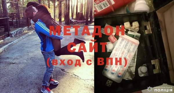 прущие грибы Великий Новгород