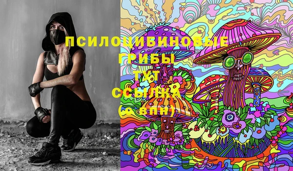 ECSTASY Михайловка