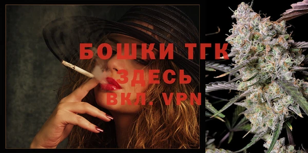 СК Михайлов