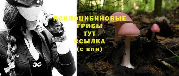 ECSTASY Михайловка