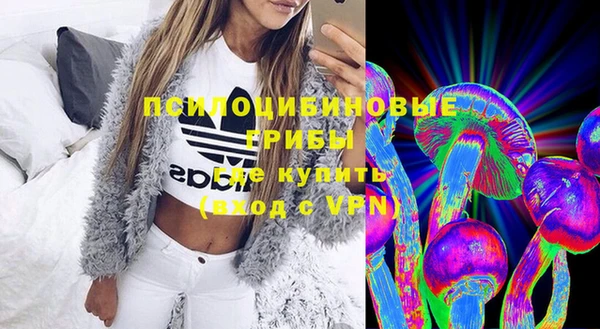 ECSTASY Михайловка