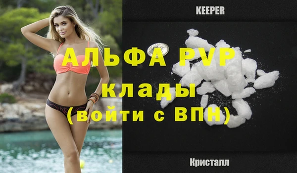 СК Михайлов